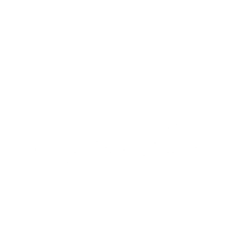Transferport_Seeds